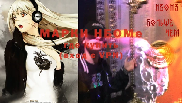 бошки Алексин