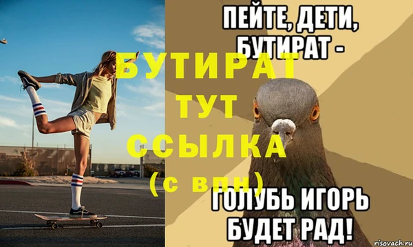 индика Няндома