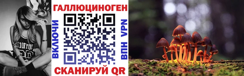 наркотики  Абинск  Псилоцибиновые грибы мицелий 